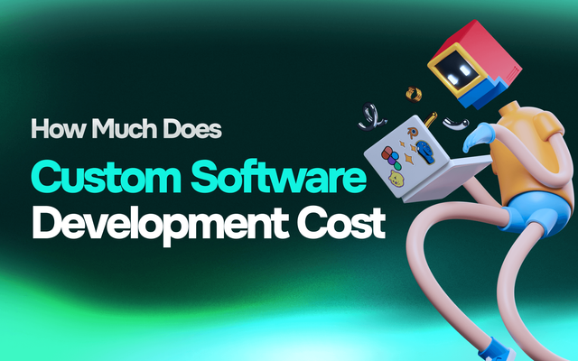 custom-software-development-cost