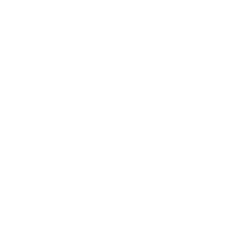 Google API