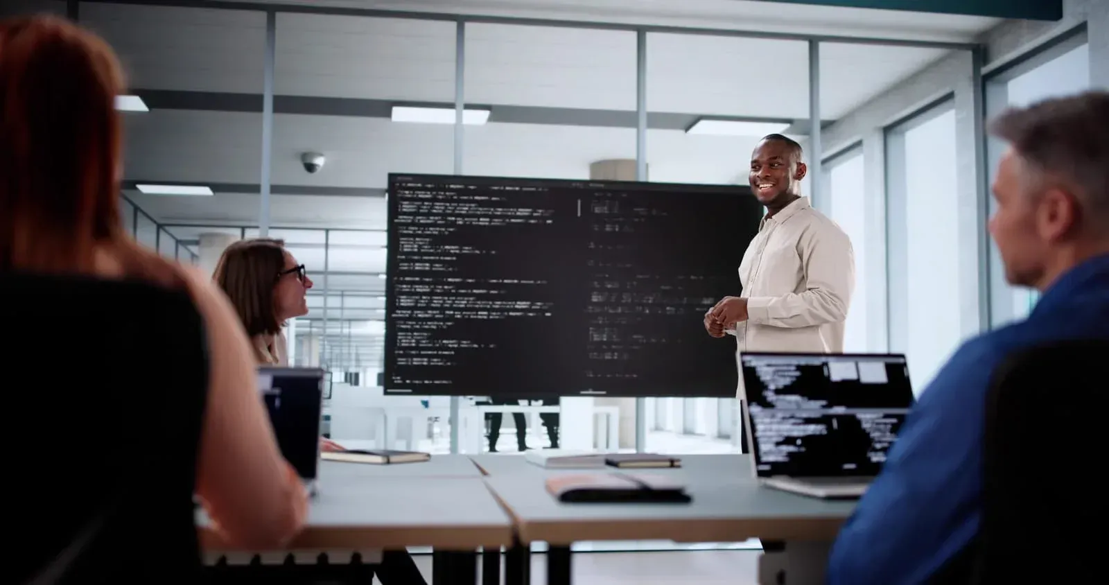 software project life cycle